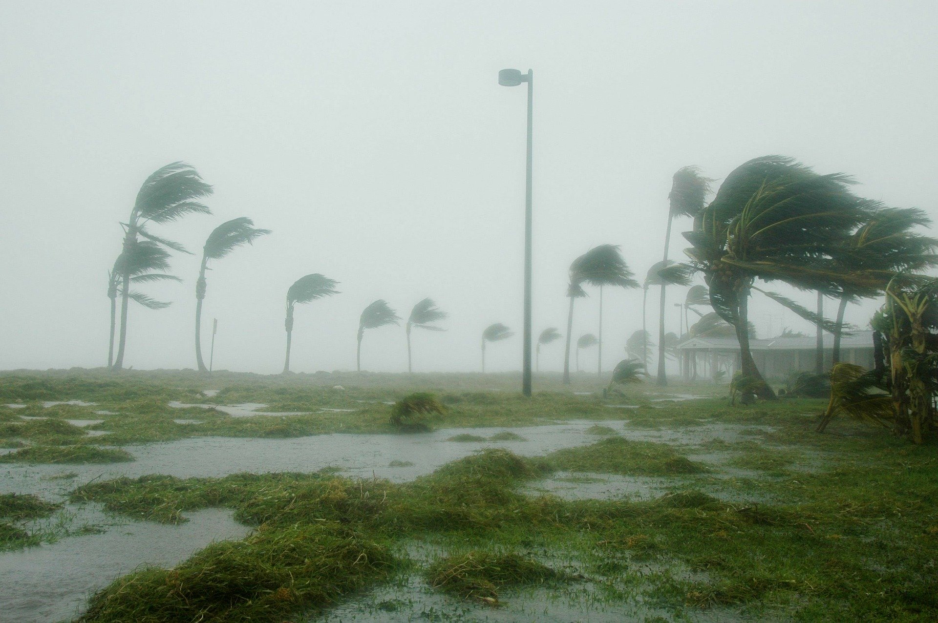 hurricane winds