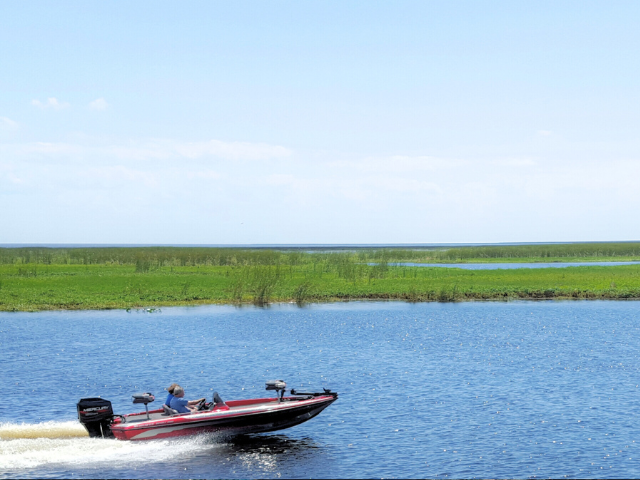 speedboat