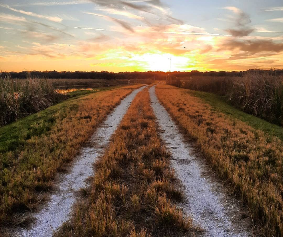 trail at tcwm